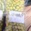 Sinocharm BRC-A Approved Fresh IQF Frozen Sweet Yellow or Green Ginko Nut