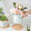 3.1 Inch Modern Marble Luxury Cylinder Flower Planter Pot Matte White Ceramic Succulent Flower Pot