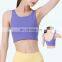 Hot Selling New Sexy Sports Yoga Crop Top Ladies Gym Fitness Wear Bra Top Sleeveless Vest Top Outdoor Activewear Bra