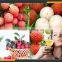Leader stainless steel longan fruit production machiney with CE & ISO
