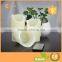 3pcs wireless remote control battery operated led flameless candles lights set