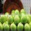 pack fresh apples film food packaging film