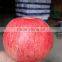 Sale Apple Fruits to Russia Sweet Qinguan Apples Fruits Containing Vitamin E