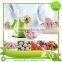 Amazon Hot Selling Hand Crank Manual Meat Grinder and Vegetable Grinder Mincer with Stainless Steel Blades