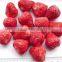 Supply All kinds shapes of Frozen dried strawberry for sale