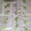 beauty design mesh embroidery lace trimming for garment accessories
