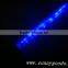 glow stick