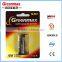 High Quality Alkaline Battery 6LR61