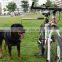 Hands Free Stretchable Dog Bike Leash for Bicycle Exerciser
