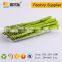 Blister Process Type and Tray Type plastic food tray