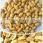 Roasted Peanut Without Skin, White Color Roasted Peanut and Split