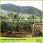 China Exporter Anti Netting Bird
