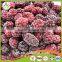 With Good Quality Supply 2016 Processed Frozen iqf Blackberry