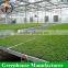 Greenhouse Movable Seed Bed/Seed Bed Nets