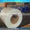 2016 Pre-painted Hot Dip Galvanized Steel Coils / PPGI Steel