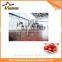 Automatic Tomato Paste Machine