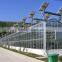 Different Models of Venlo glass multi-tunnel green house With Good After-sale Service