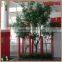 Customized real wood ficus tree