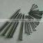 common wire iron nail for Africa market