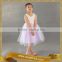 Elegant Girls Tulle Lace Princess Dress for Kids