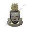 Custom gold finish custom metal hard enamel badge lapel pin