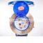 New plastic seal direct reading remote water meter