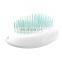 HQP-MR28 HongQiang  Pet Automatic Multi-functional Plastic Brush For Pet Hair Remover Pet Massage Brush One Button Control