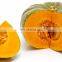 TOP HIGH QUALITY NATURAL 100% FROM PUMKIN POWDER MADE IN VIET NAM