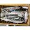 Frozen BQF IQF Scomber japonicus pacific mackerel fish 300/500g