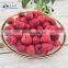 Sinocharm Frozen Wholesale IQF Berries Frozen IQF Raspberry