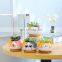 Wholesale Home Indoor Plants Aero Pots Planter Cute Cat Mini Ceramic Suculent Succulents Flower Animal Succulent Planters