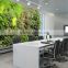 Yafei high quality artificial grass wall/artificial green wall/artificial plant decoration
