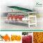 Apricot sorting machine