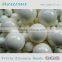 95% ZrO2 0.6-50mm yttria zirconia ceramic ball, grind sphere