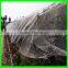 Factory direct UV anti-hail net / anti -bird netting in high qualty