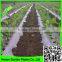 2015 Suntex supply agriculture poly clear black sliver color mulch film cover crops for protection seedlings roots