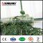 artificial decorative topiary boxwood hedge artificial grass bonsai fence