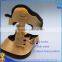 Orthopedic Neck Traction for Pain Relief