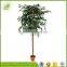customized in stock plastic artificial banyan tree for indoor decoration