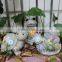 Professional Production Garden Decoration Crafts