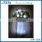 Waterproof ABS+PE Material Christmas Party Stage light Portable 2d Led Acorn Light