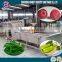 New designed fruit and vegetable processing machines