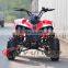 4 Wheel 800w Cheap Price ATV For Adults