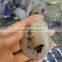 Water Drop Shaped Agate Slabs Pendants Jewelry