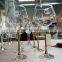 24 Carat Gold Foil Wine Glass Design Unique Drinking Glass for Bank VIP