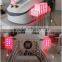 14 paddles 650nm 980nm dual wavelength lipo laser