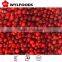 china good price for frozen lingonberry