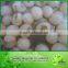 567g Canned fruit-Canned lychee