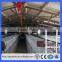 Guangzhou Hot selling A Type automatic poultry farm cage for layer/hen/egg chicken in Algeria (Guangzhou Factory)