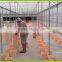 Dutch bucket without lid . Bucket system for hydroponic system.